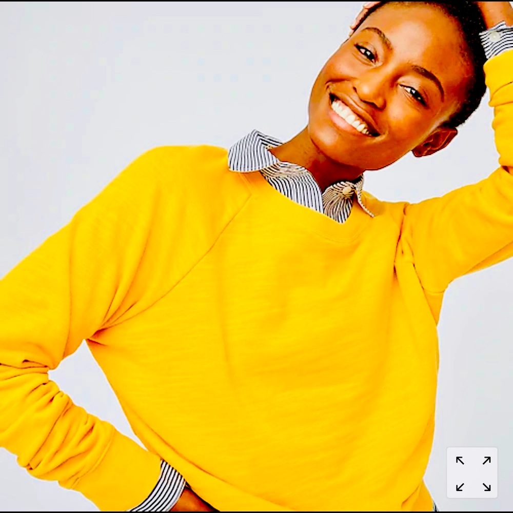 J.Crew Vintage Cotton Terry Crewneck Pullover